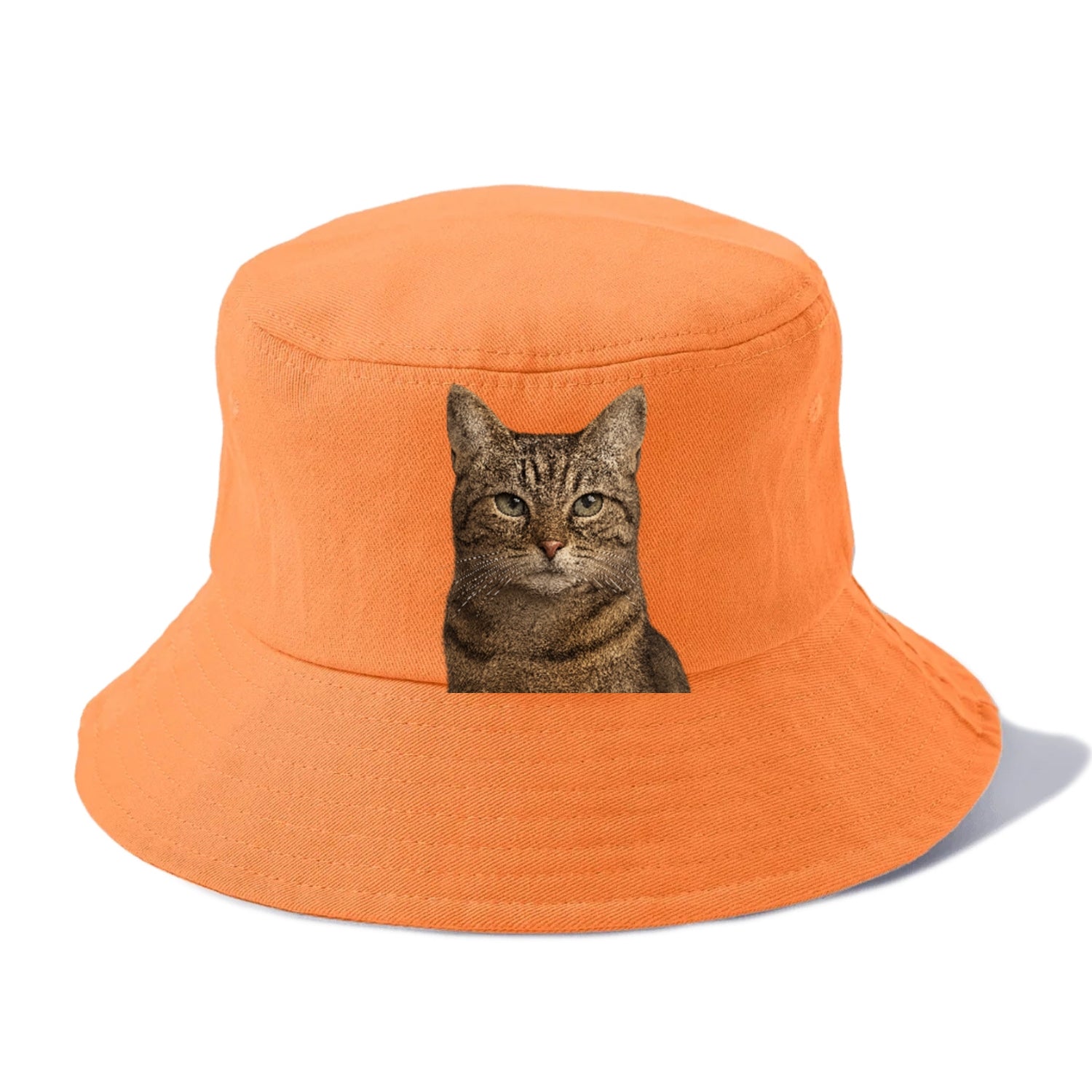 content-cat-curious-charm Hat