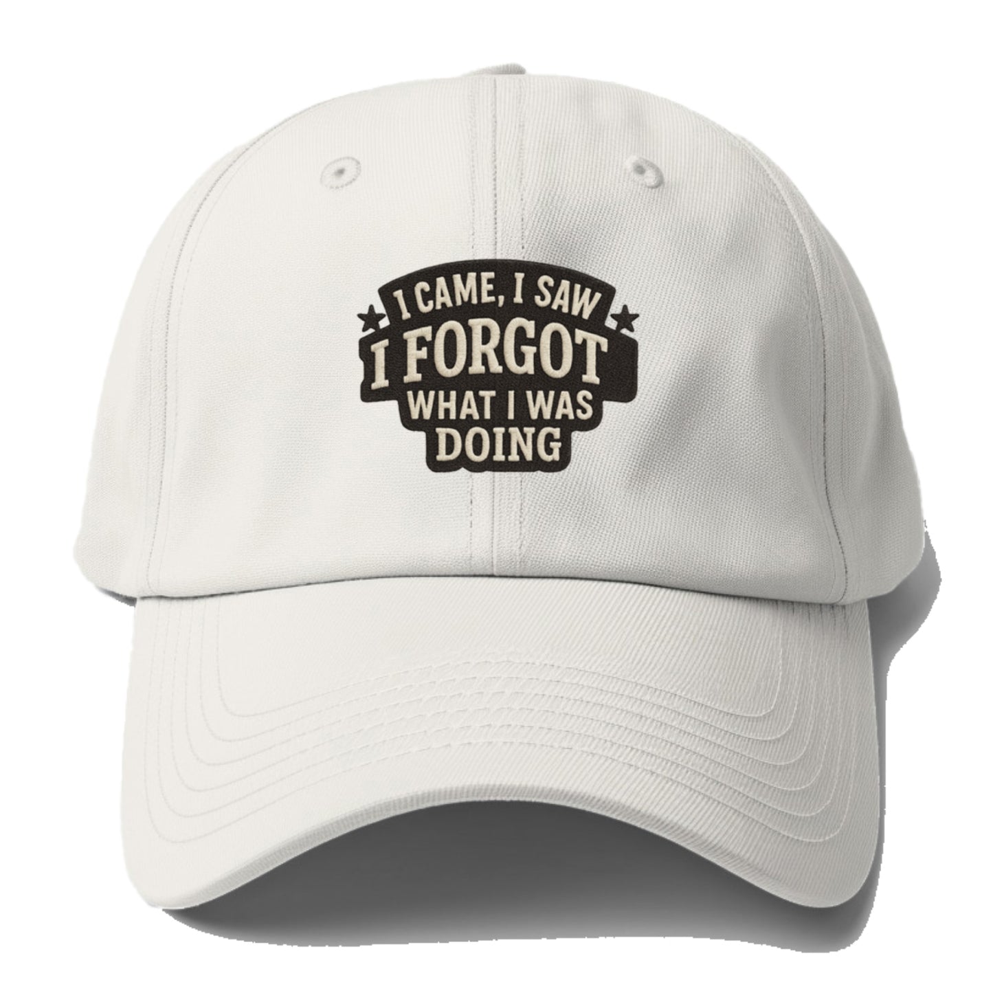 i came i saw i forgot what i was doing Hat