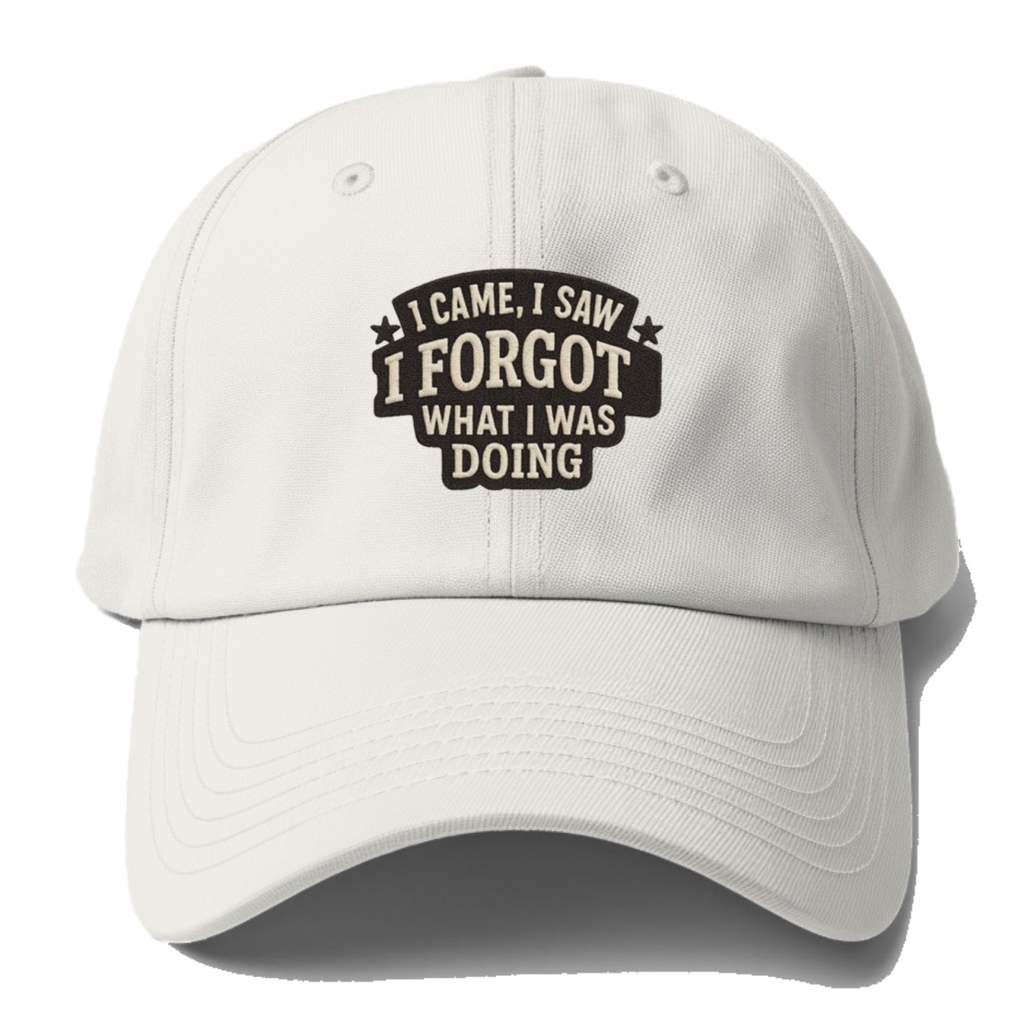 i came i saw i forgot what i was doing Hat