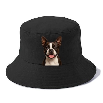 boston terrier: dapper & devoted companion Hat