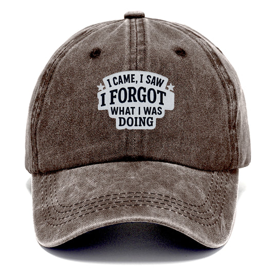i came i saw i forgot what i was doing Hat