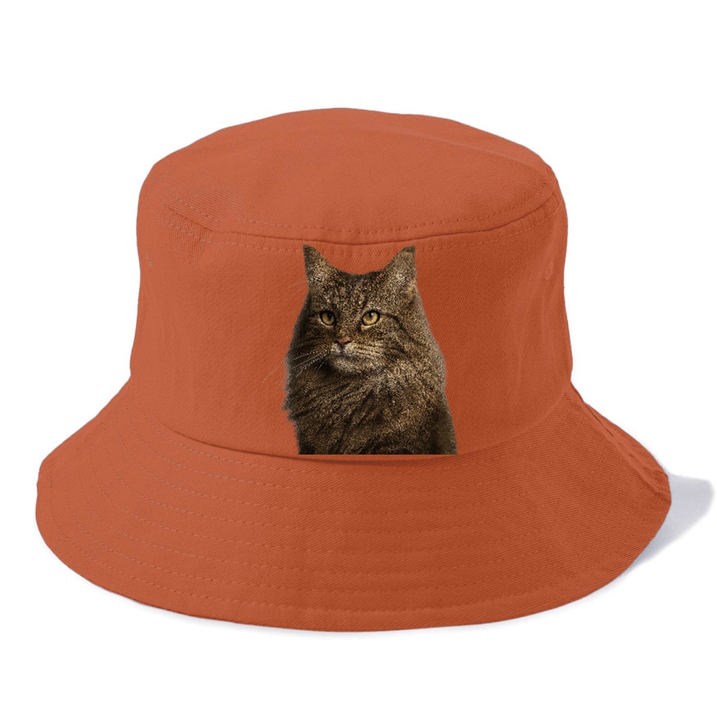 norwegian-forest-cat-wilderness-spirit Hat