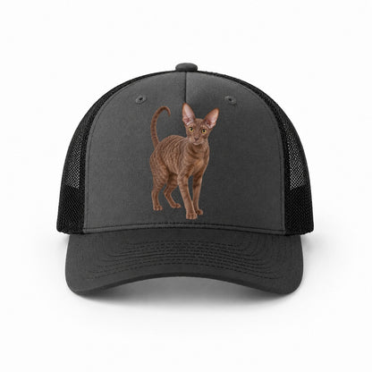 Dark Grey-Black — front view