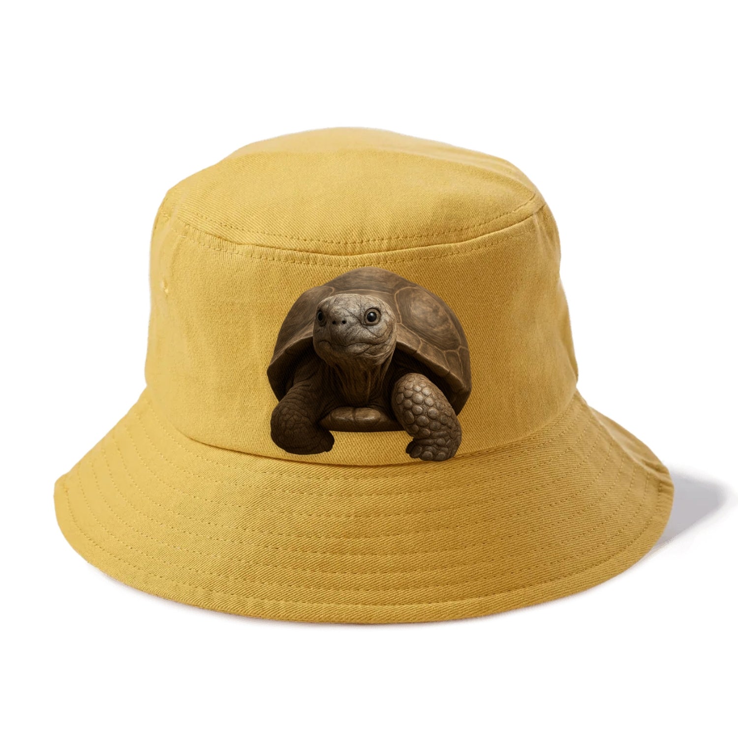 tortoise portrait design Hat