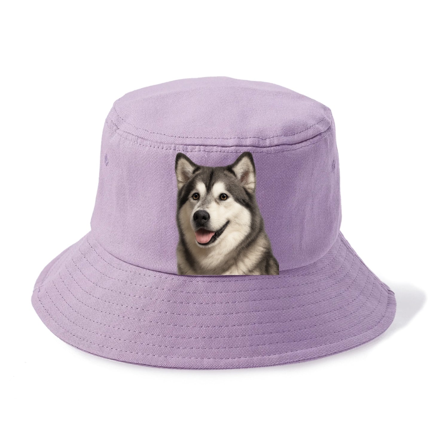 alaskan malamute portrait design Hat