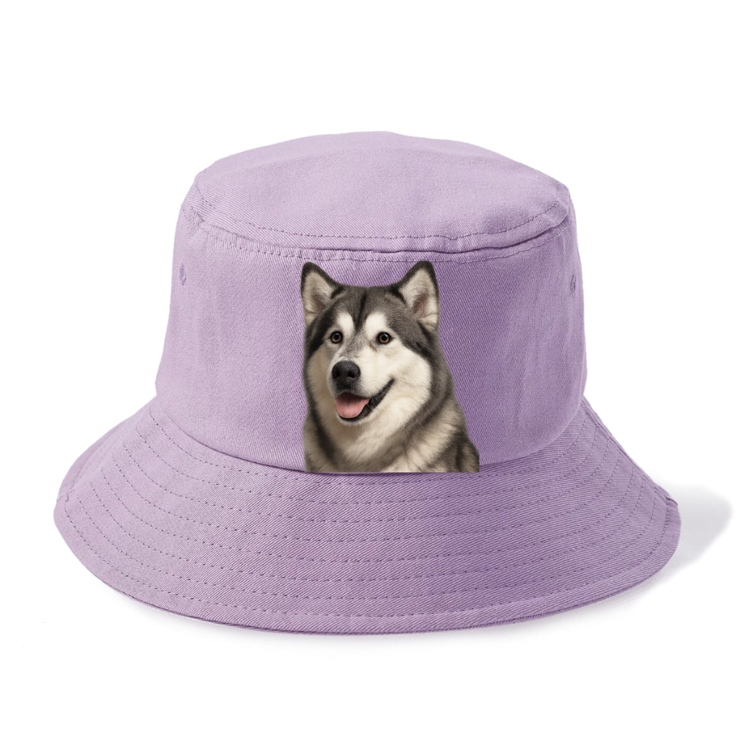 alaskan malamute portrait design Hat