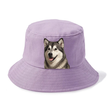 alaskan malamute portrait design Hat
