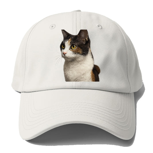 japanese-bobtail-playful-spirit Hat