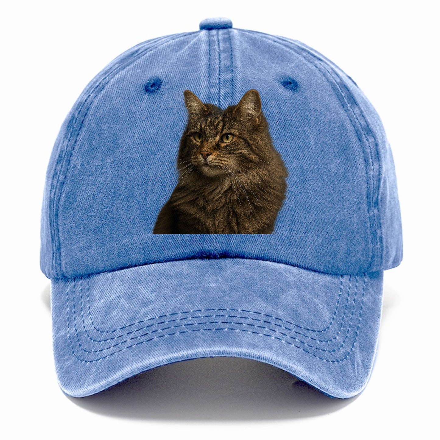 norwegian-forest-cat-wild-majesty Hat