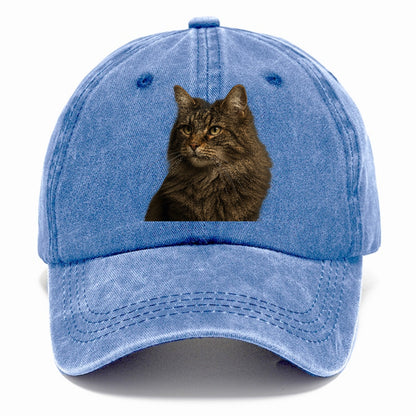 norwegian-forest-cat-wild-majesty Hat