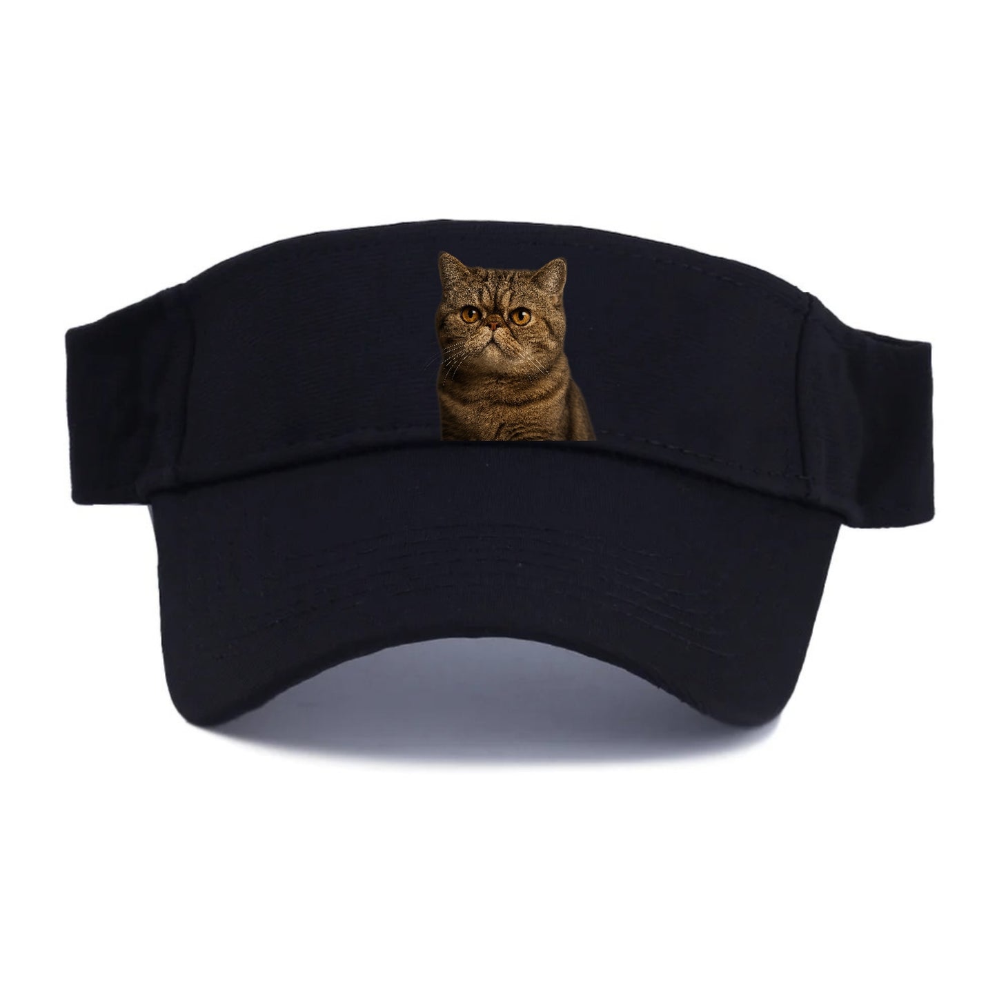 exotic-shorthair-charm Hat