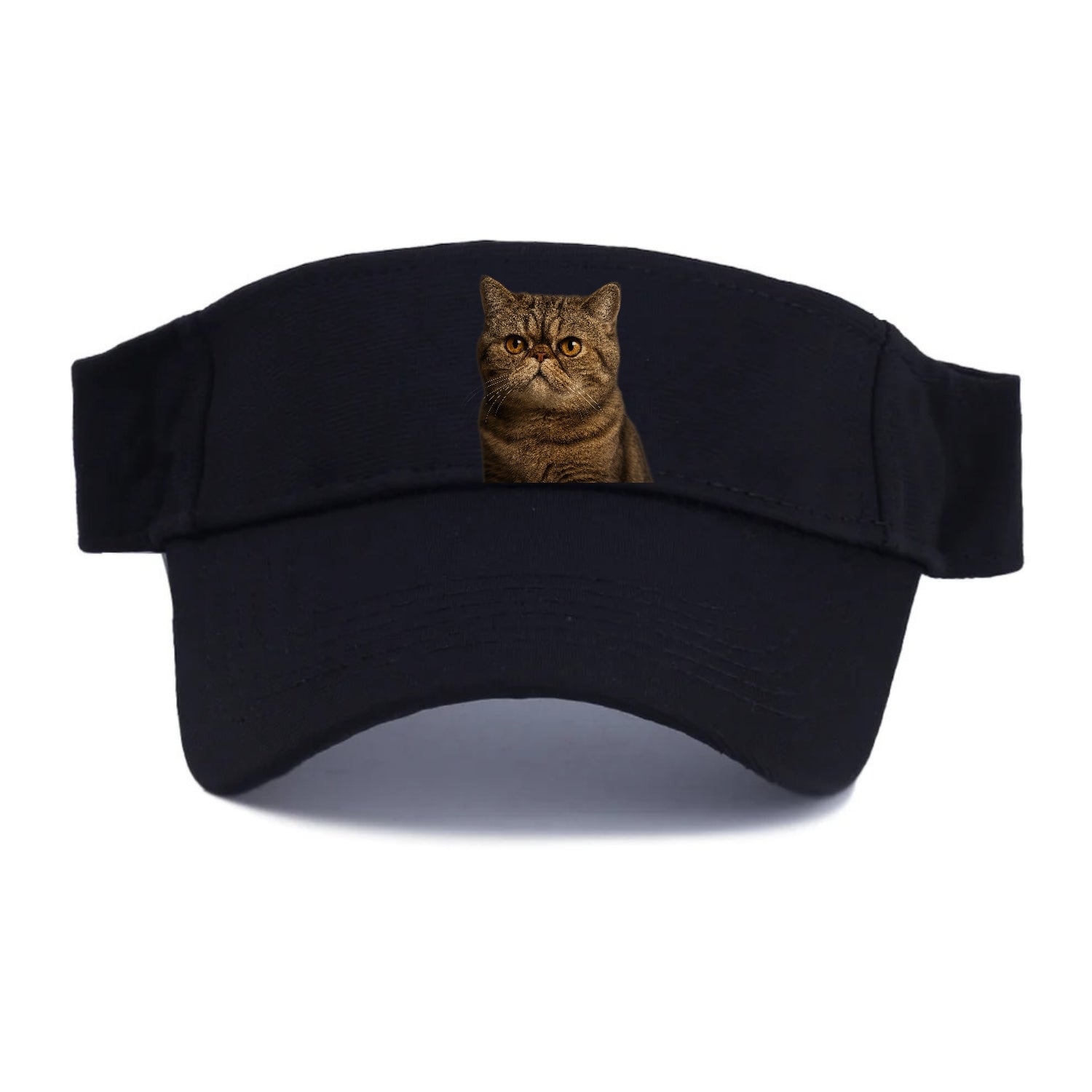 exotic-shorthair-charm Hat