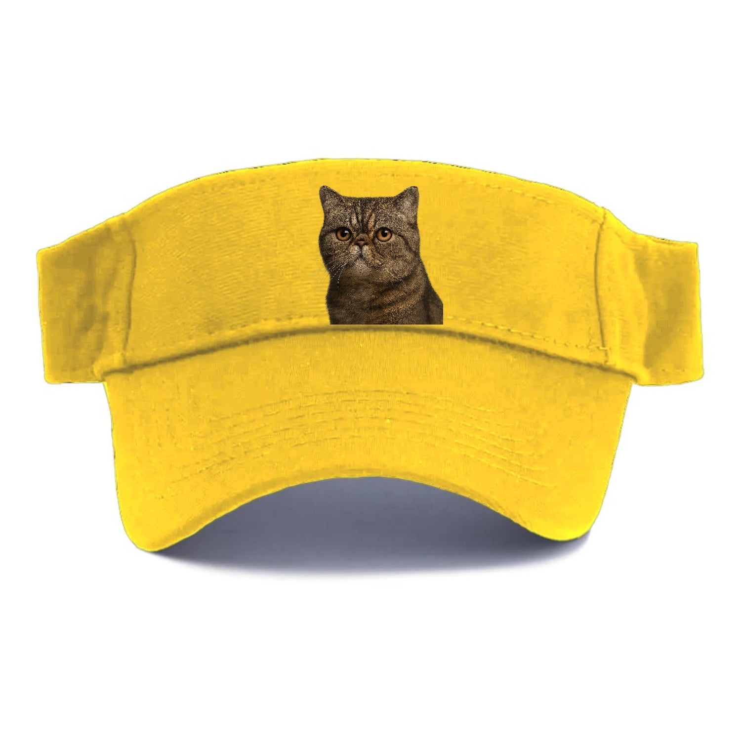 exotic-shorthair-calm-demeanor Hat