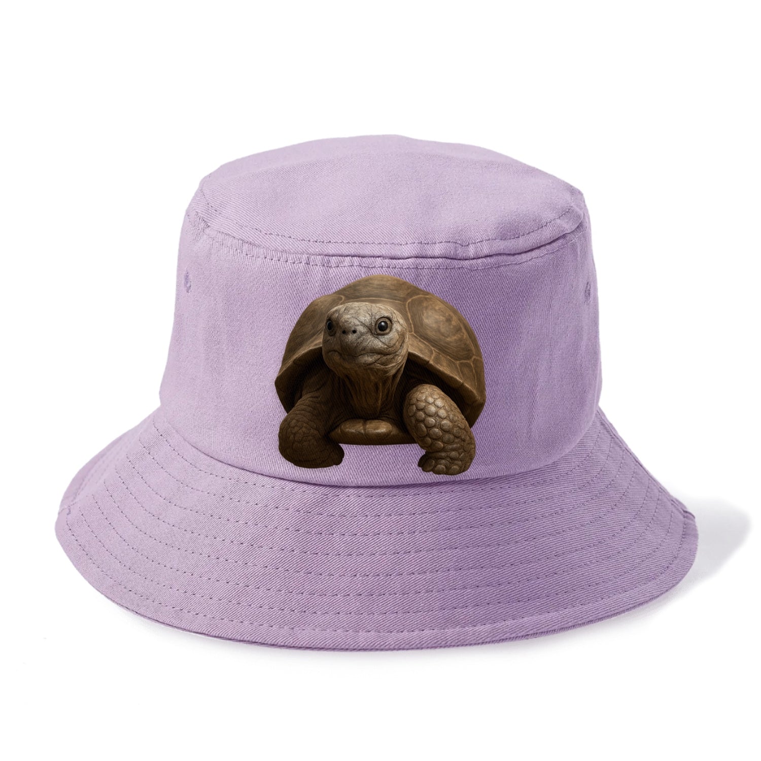 tortoise portrait design Hat