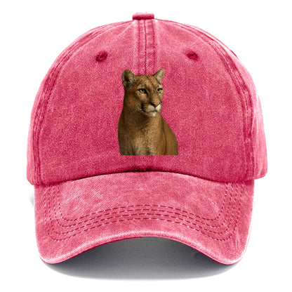 puma-wild-agility Hat