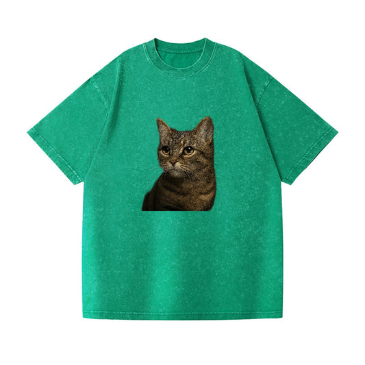 munchkin-cat-charming-spirit Hat