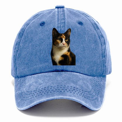 calico-mix-vibrant-spirit Hat