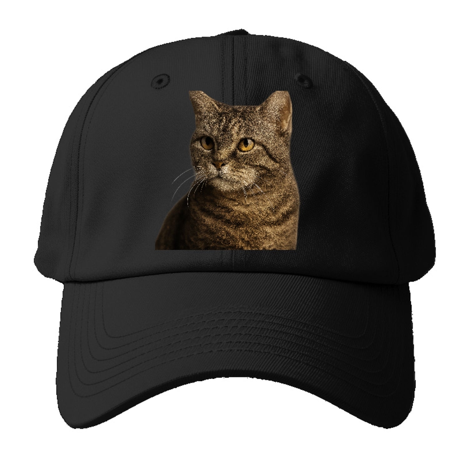 american-wirehair-unique-texture Hat