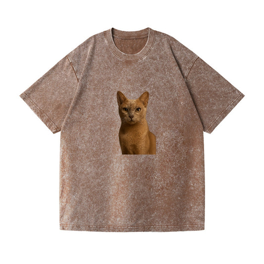 fawn-cat-playful-spirit Hat