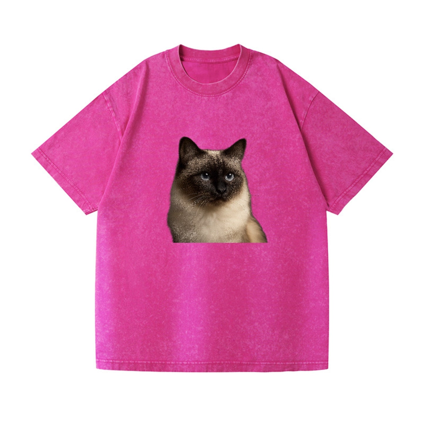 birman-cat-serene-elegance Hat