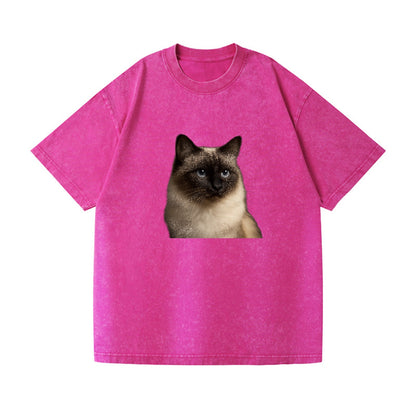 birman-cat-serene-elegance Hat