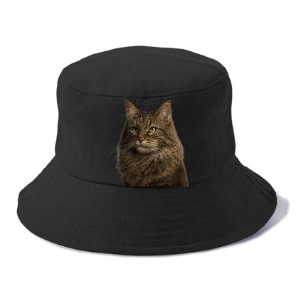 norwegian-forest-cat-wilderness-spirit Hat