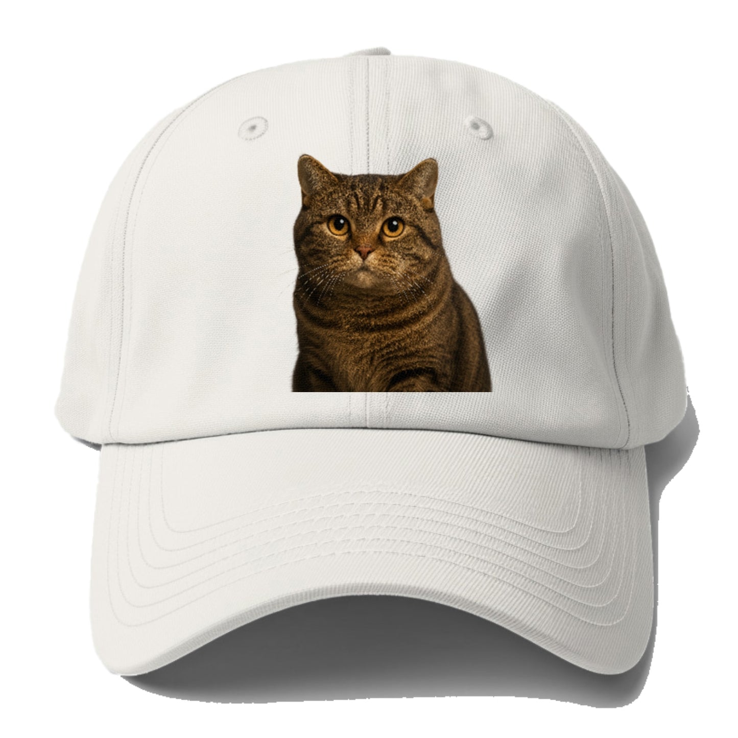 manx-cat-distinct-charm Hat