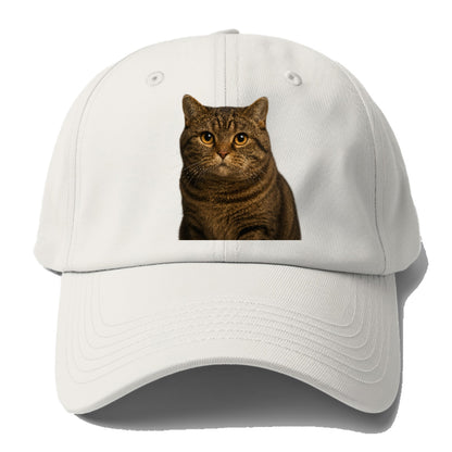 manx-cat-distinct-charm Hat
