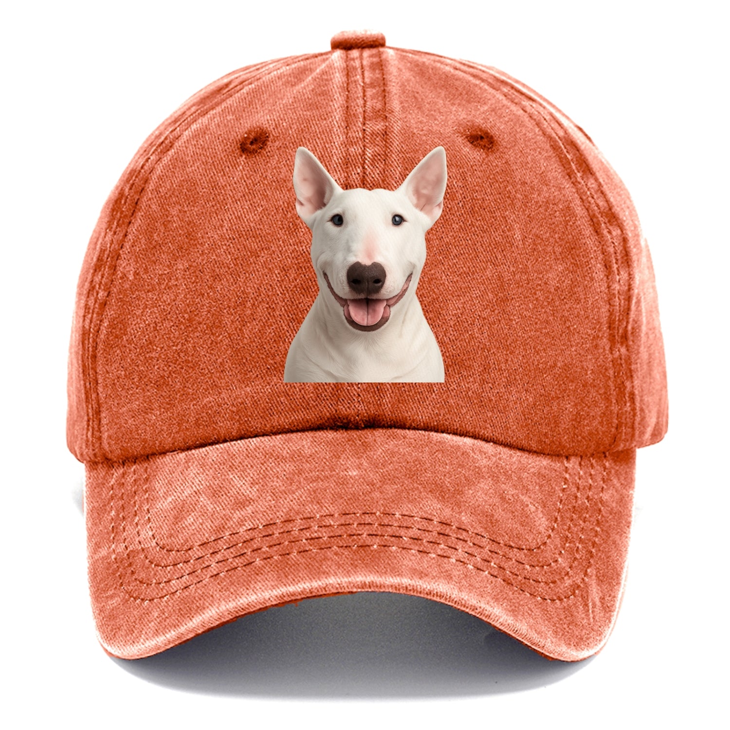 bull terrier bold & brilliant Hat