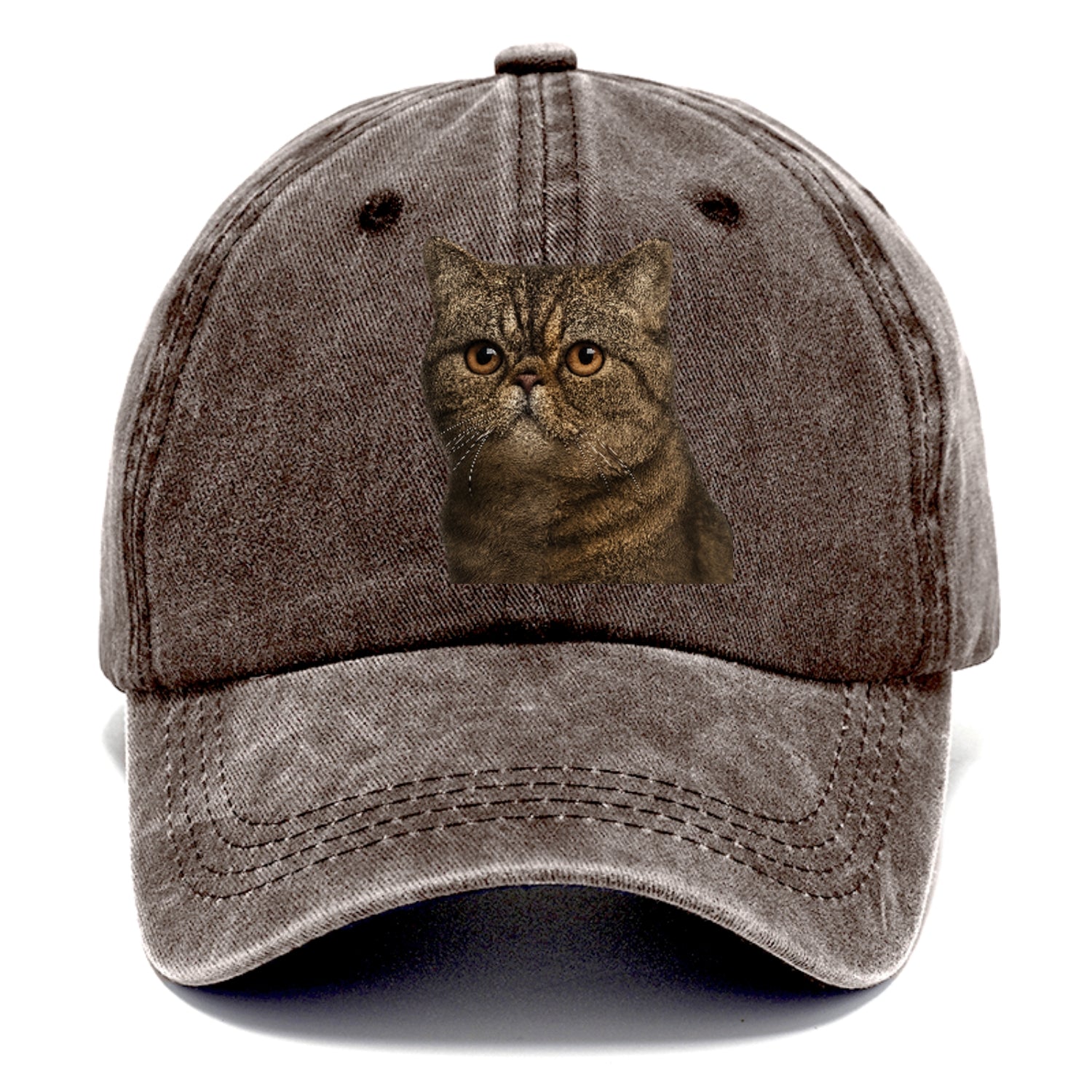 exotic-shorthair-calm-demeanor Hat