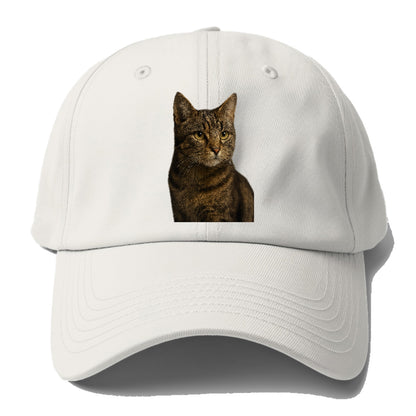 barn-cat-rustic-charm Hat