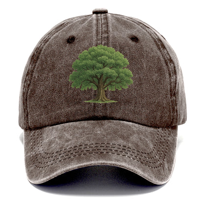 ancient canopy collection Hat