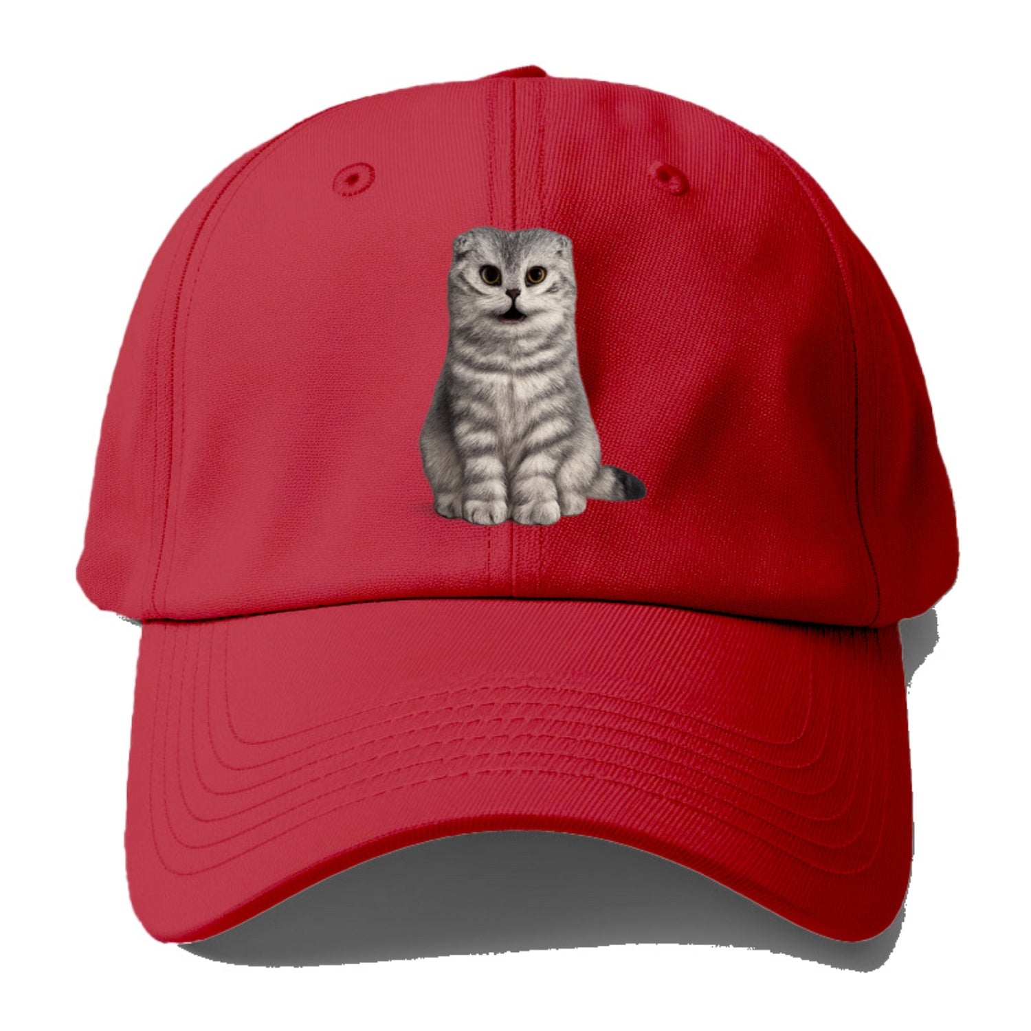 surprised striped cat whimsical portrait Hat