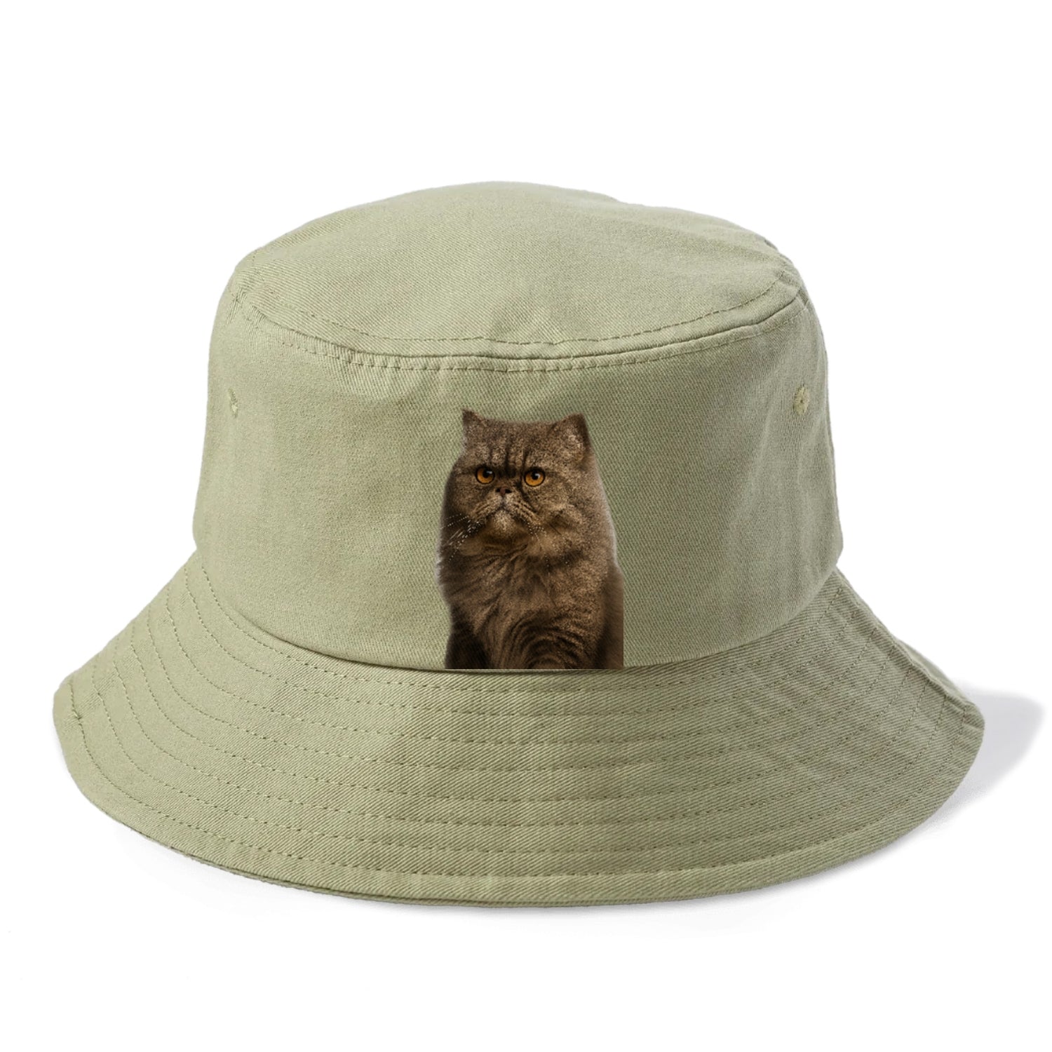 persian-cat-regal-elegance Hat