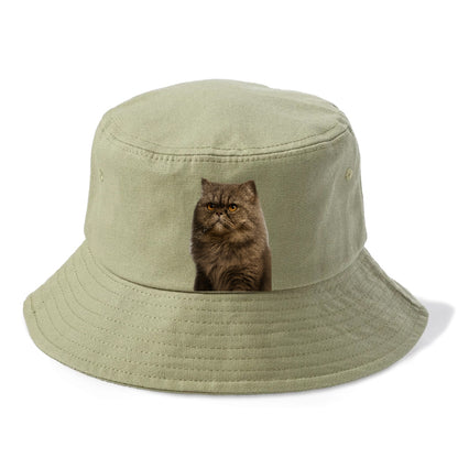persian-cat-regal-elegance Hat