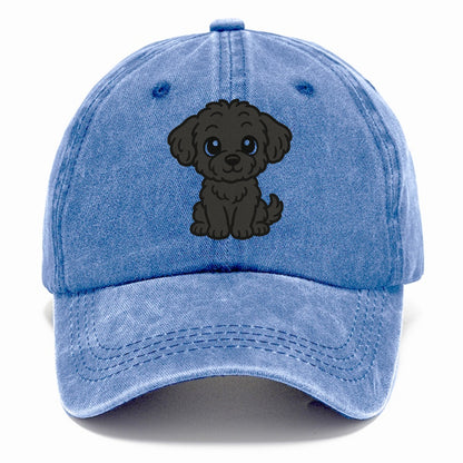 black maltipoo black curly sitting pose portrait design Hat