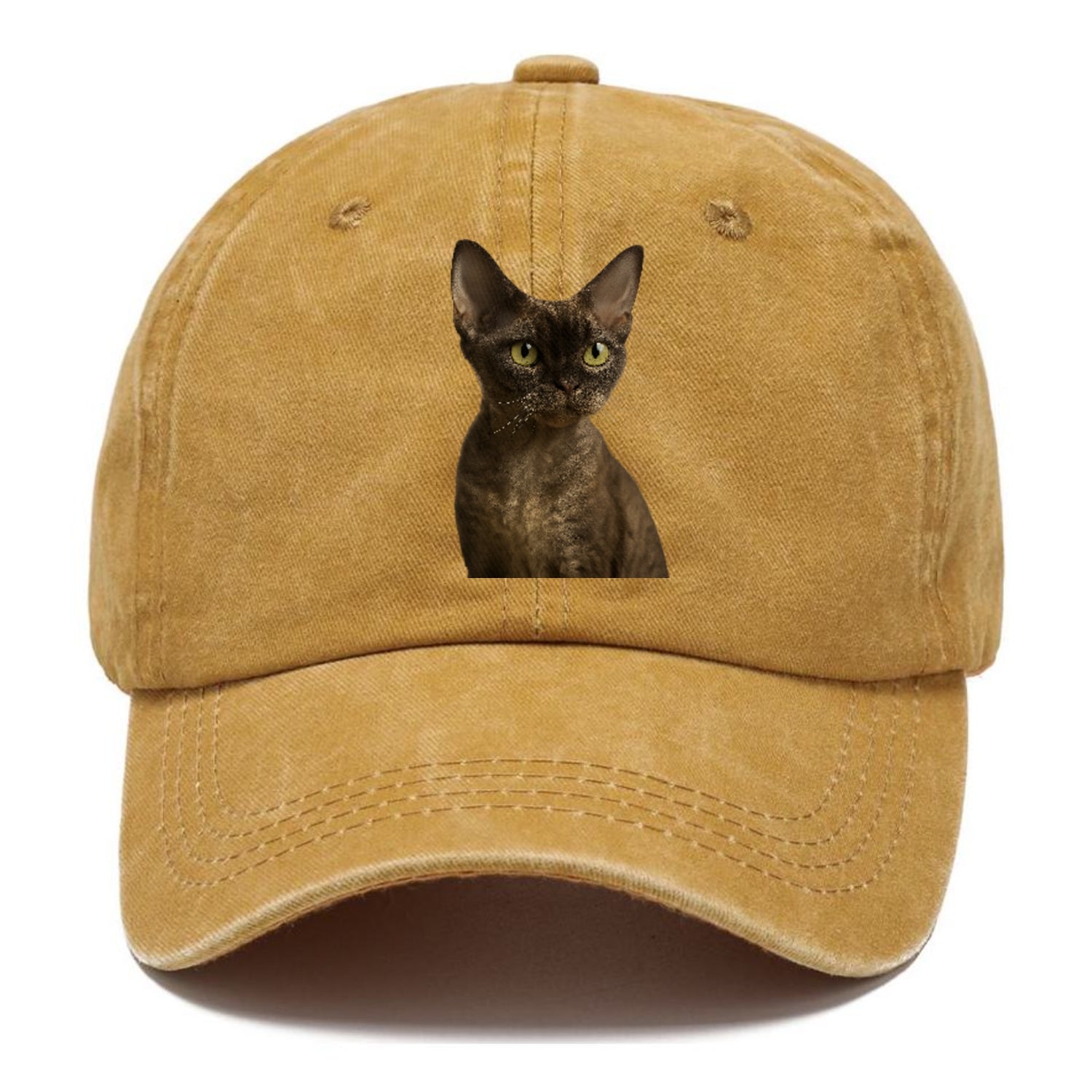 devon-rex-the-unique-charm Hat
