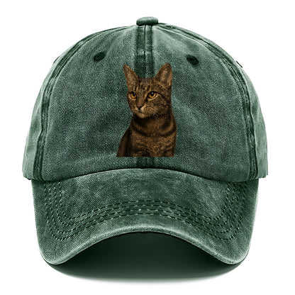 alert-cat-ready-radiant Hat