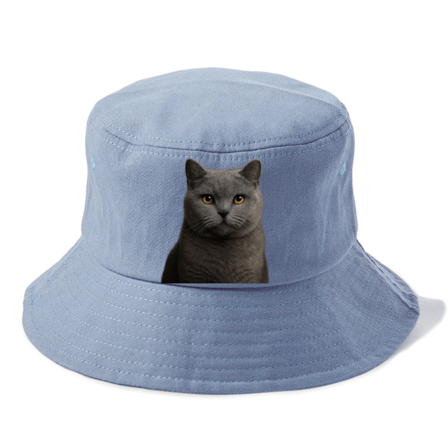 british shorthair dignified charm Hat