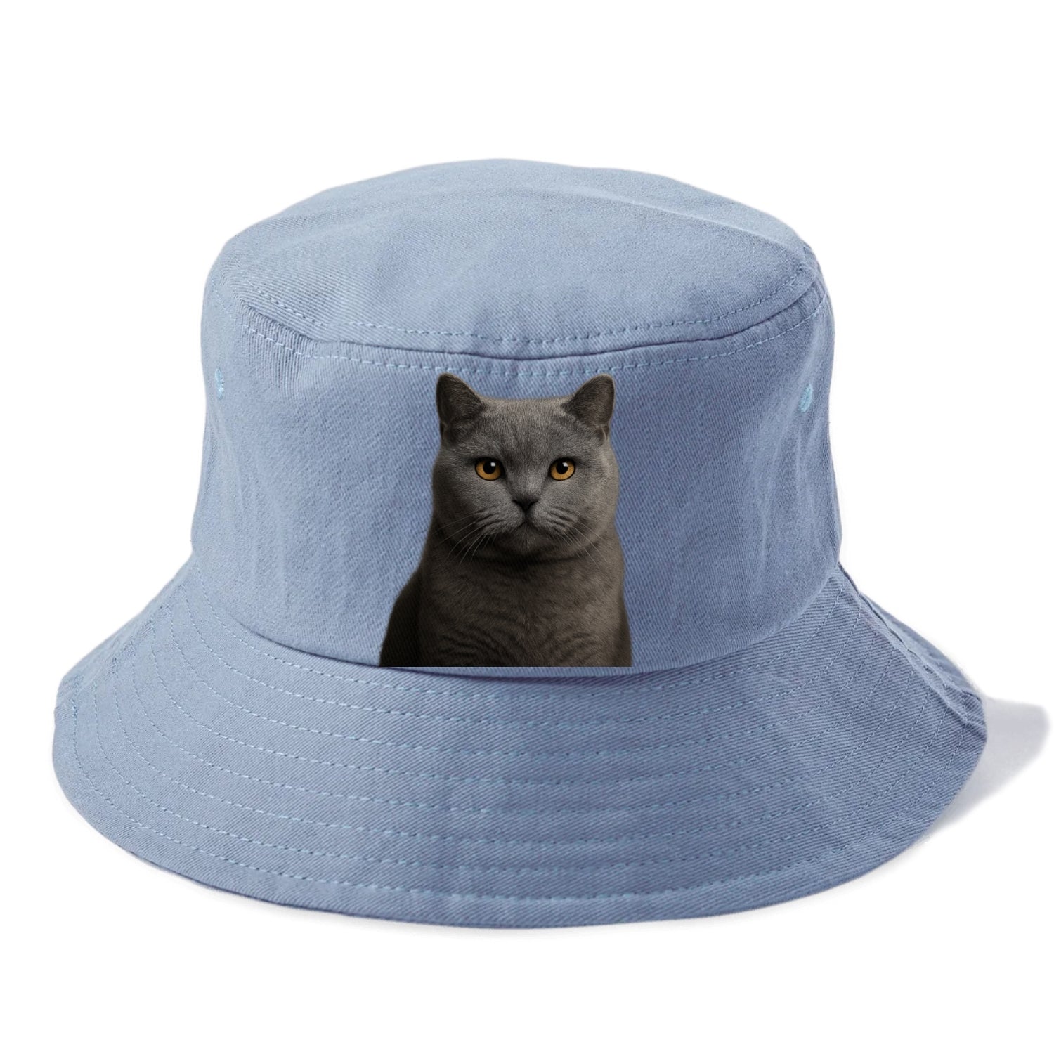 british shorthair dignified charm Hat