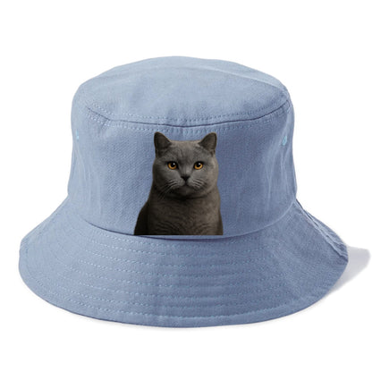 british shorthair dignified charm Hat