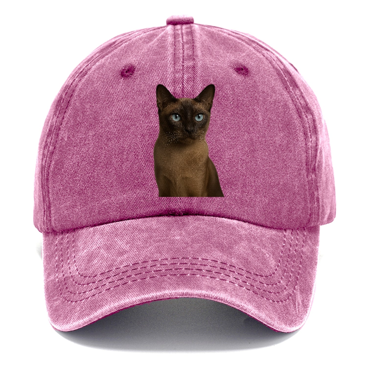 tonkinese-playful-spirit Hat