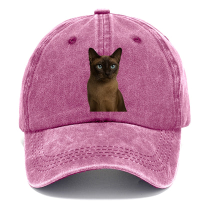 tonkinese-playful-spirit Hat