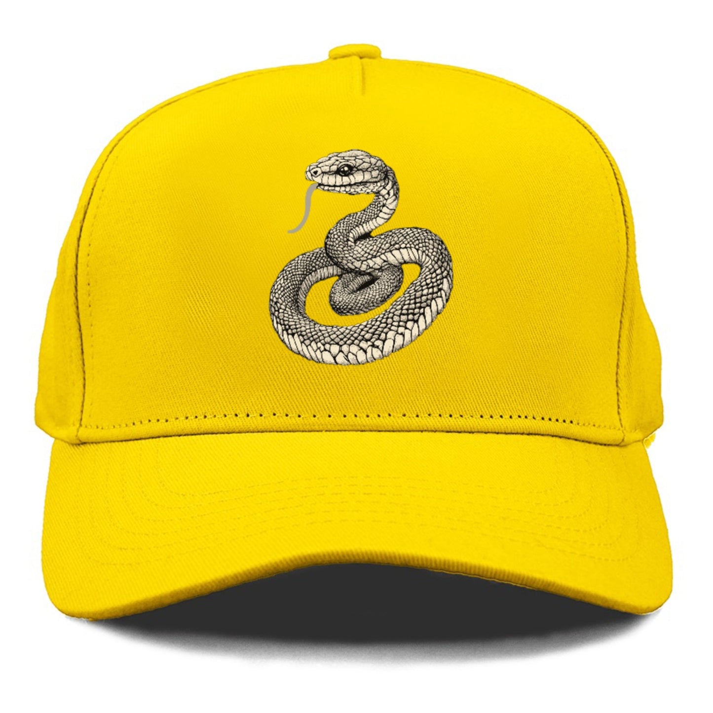 Year Of Snake Hat