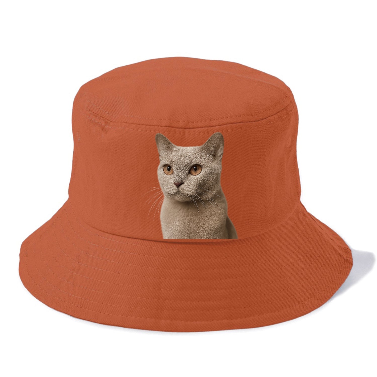 lilac-cat-playful-spirit Hat