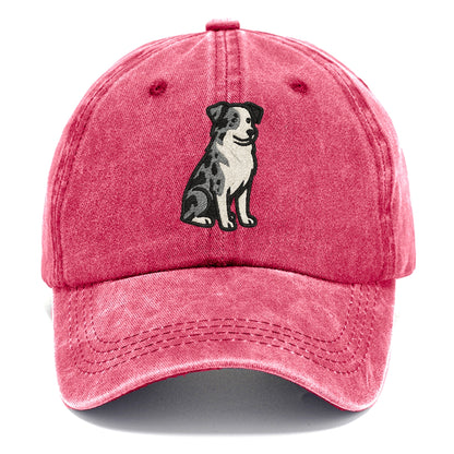miniature-american-shepherd-blue-merle-loyal-spirit Hat