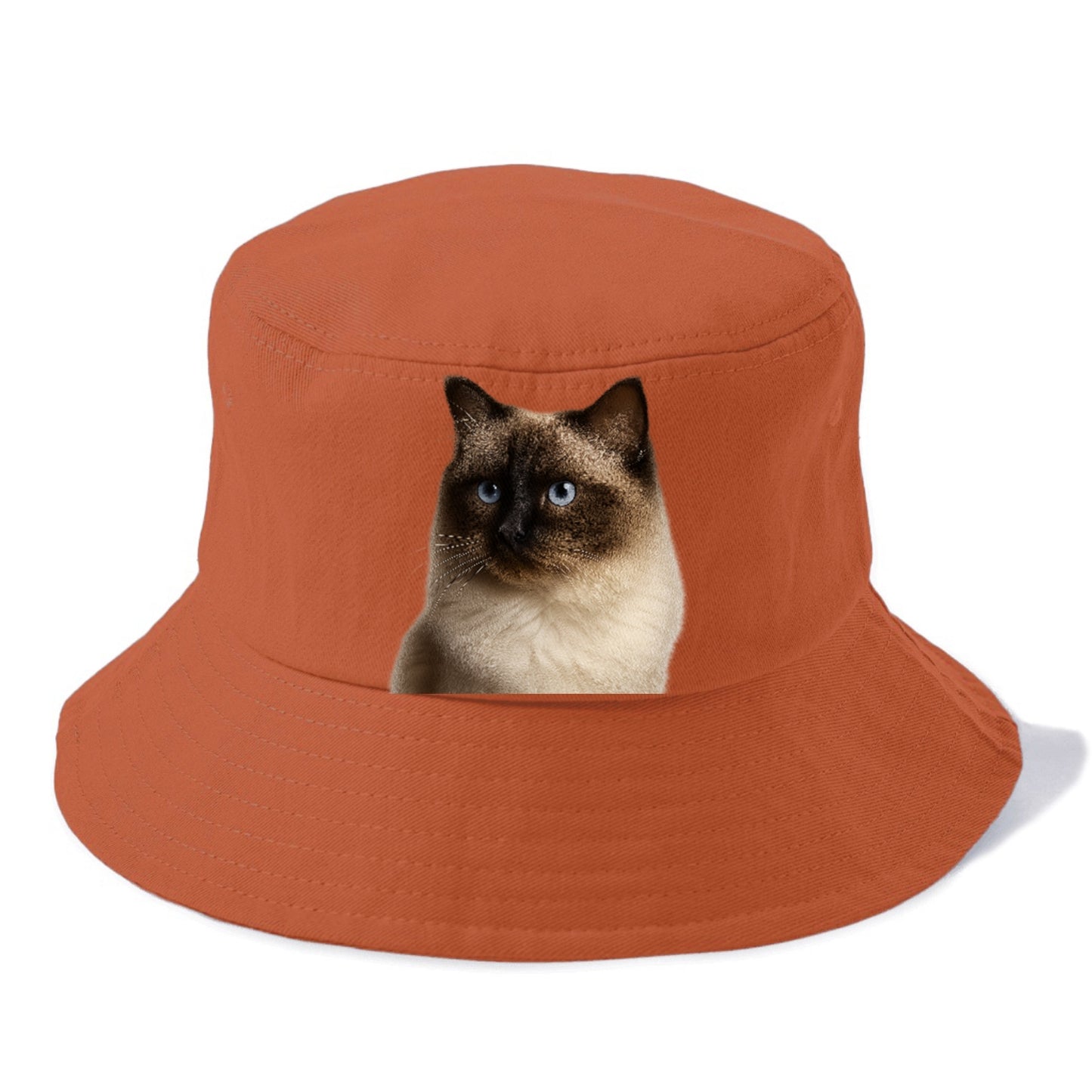 ragdoll-gentle-demeanor Hat