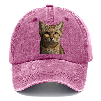 sand-cat-desert-spirit Hat
