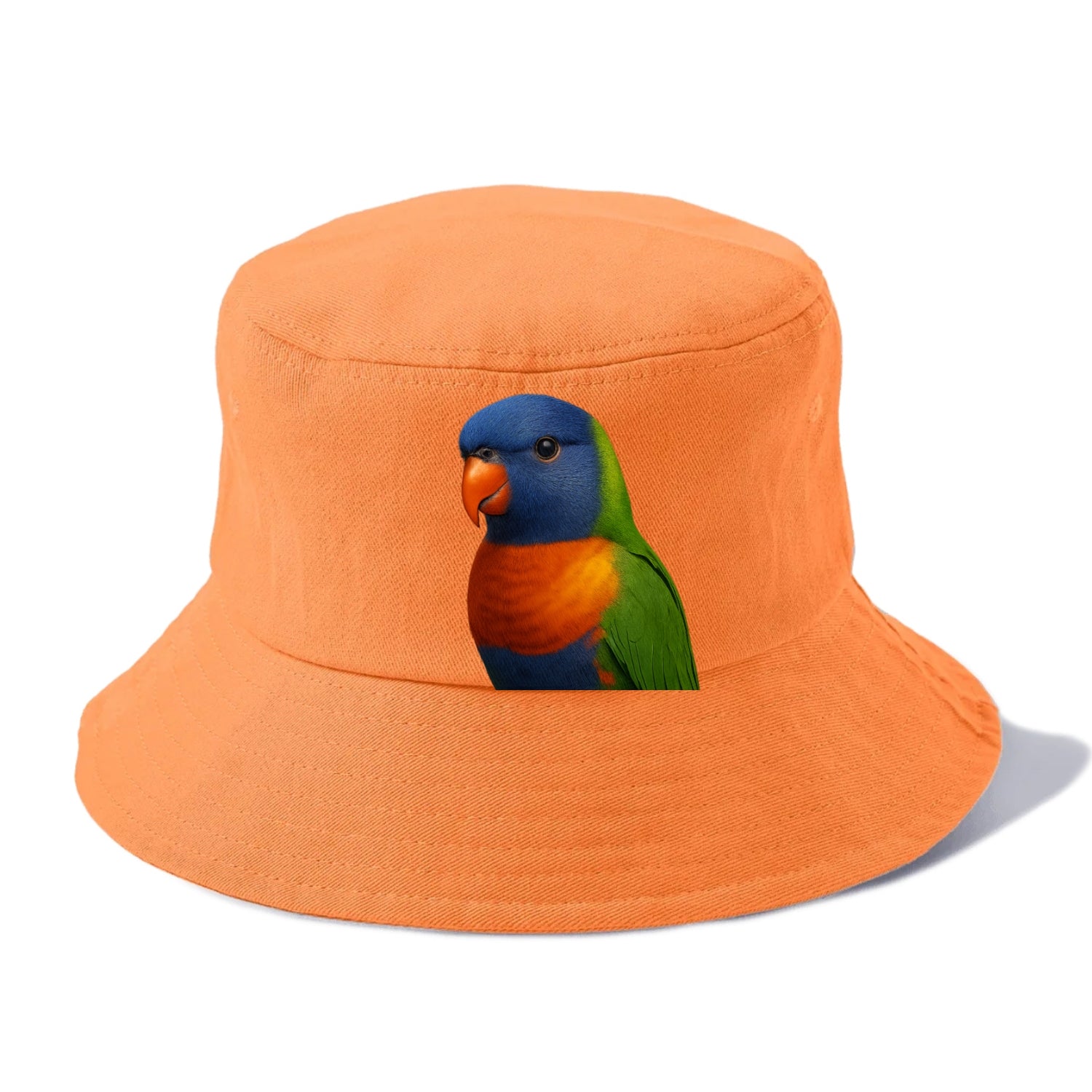 rainbow portrait design Hat