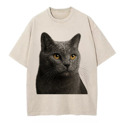 chartreux-quiet-grace Hat